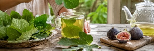 cuisiner les feuilles de figuier