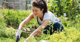 Le jardinage, c’est bon pour la santé, physique et mentale