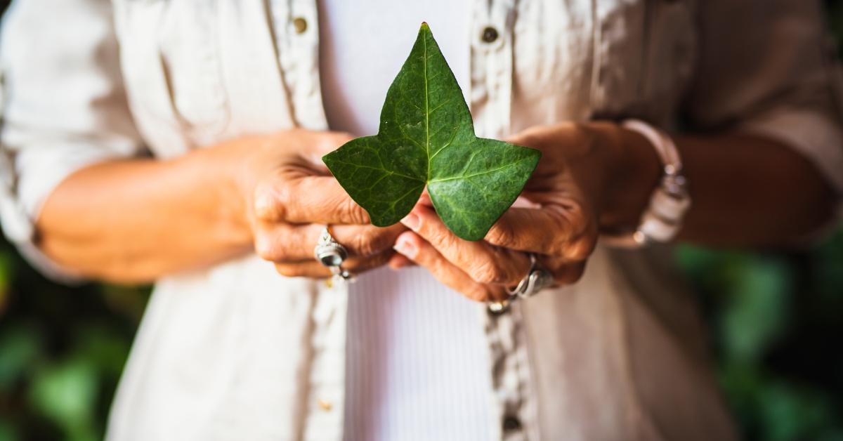 Beauté au naturel : 6 astuces beauté avec du lierre grimpant