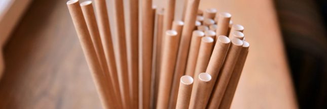 L'éco-illusion des pailles en papier : ce que vous devez savoir