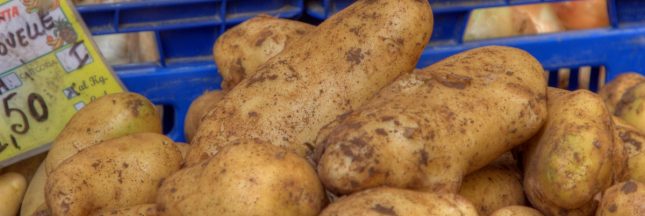 PRIX DES POMMES DE TERRE