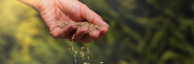 shutterstock_1933483865