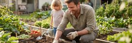 Semis d'été : préparer son potager d'automne, c'est maintenant ! Semis d'été : préparer son potager d'automne, c'est maintenant !