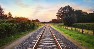 Pour avoir perturbé des oiseaux, SNCF Réseau condamnée à une lourde amende Pour avoir perturbé des oiseaux, SNCF Réseau condamnée à une lourde amende