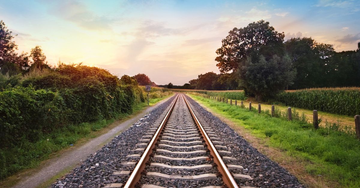 Pour avoir perturbé des oiseaux, SNCF Réseau condamnée à une lourde amende