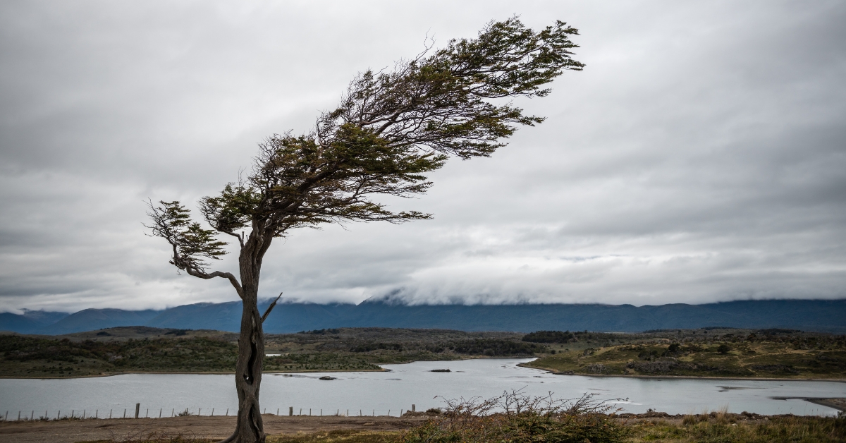 Une partie de la France en alerte : une tempête estivale approche Une partie de la France en alerte : une tempête estivale approche