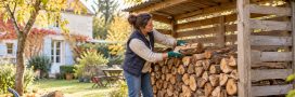 Bien sécher et stocker le bois de chauffage pour un hiver au chaud Bien sécher et stocker le bois de chauffage pour un hiver au chaud