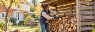 Bien sécher et stocker le bois de chauffage pour un hiver au chaud
