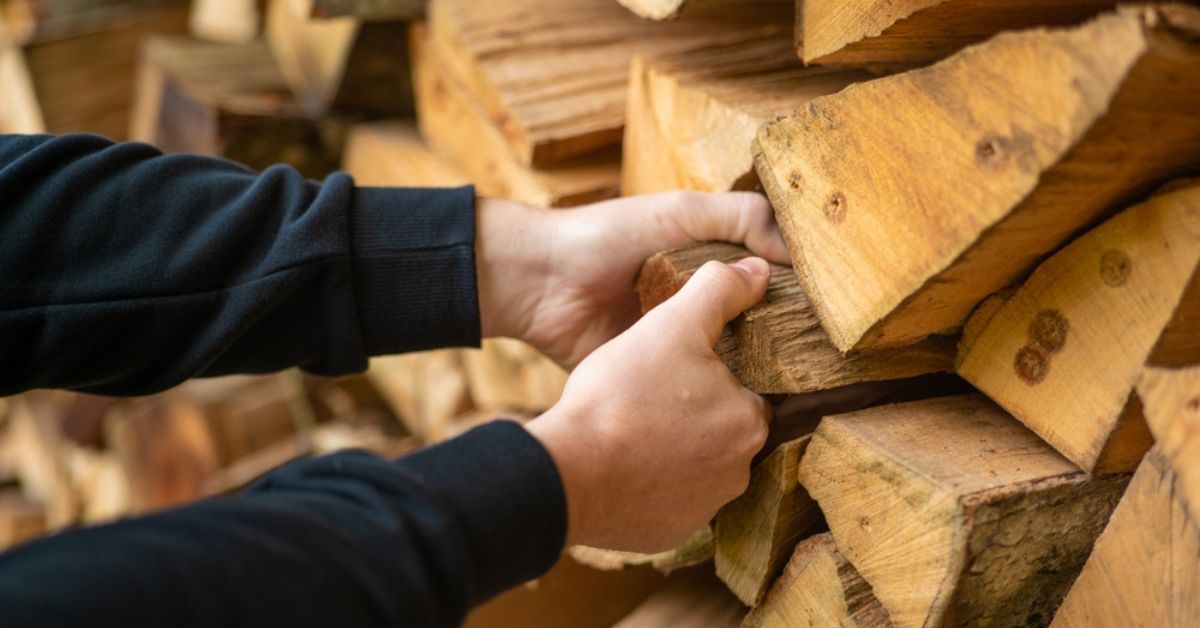 Bien sécher et stocker le bois de chauffage pour un hiver au chaud