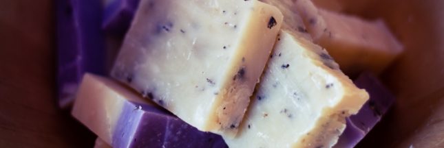 Marc de café, thym et lavande : créez 3 savons maison exfoliants, purifiants et relaxants