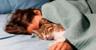 Dormir avec son chat ou son chien, une bonne idée ?