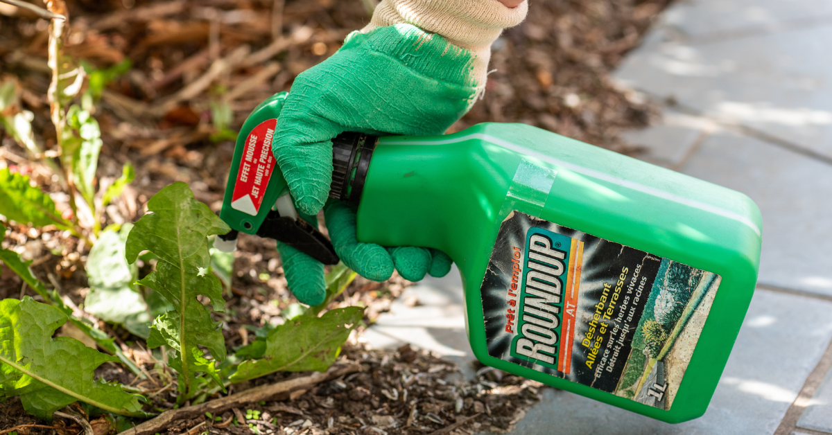 Le glyphosate réautorisé en Europe pour dix ans ? Le glyphosate réautorisé en Europe pour dix ans ?