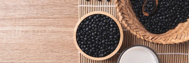 Les haricots noirs, une mine d'or nutritionnelle
