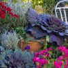 Le bonheur en pots : créer un sublime jardin d'automne pour espace réduit Le bonheur en pots : créer un sublime jardin d'automne pour espace réduit