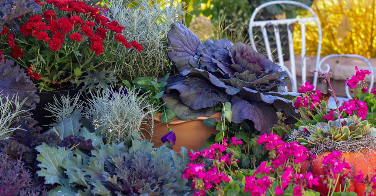 Le bonheur en pots : créer un sublime jardin d'automne pour espace réduit