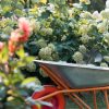 Jardiner en septembre : les gestes incontournables pour préparer l'hiver en douceur Jardiner en septembre : les gestes incontournables pour préparer l'hiver en douceur