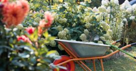 Jardiner en septembre : les gestes incontournables pour préparer l’hiver en douceur Jardiner en septembre : les gestes incontournables pour préparer l’hiver en douceur