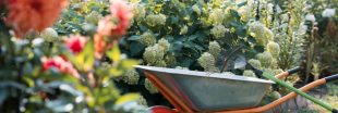Jardiner en septembre : les gestes incontournables pour préparer l'hiver en douceur Jardiner en septembre : les gestes incontournables pour préparer l'hiver en douceur