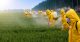 pesticides les fabricants connaissaient les risques