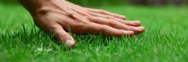 Sabler la pelouse pour rajeunir son gazon : tout savoir sur cette technique méconnue