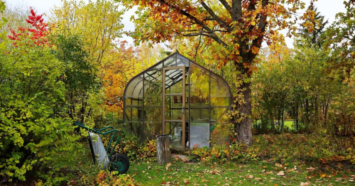 Sous la serre en automne, bien des travaux attendent les jardiniers : ce qu’il ne faut pas oublier