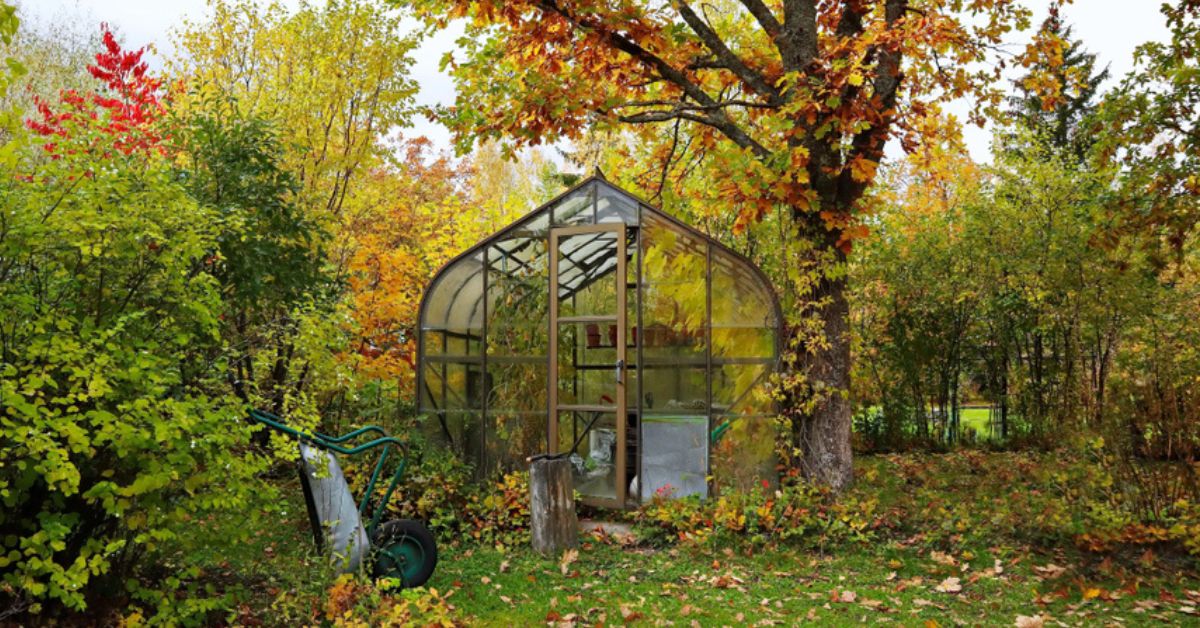 Sous la serre en automne, bien des travaux attendent les jardiniers : ce qu'il ne faut pas oublier