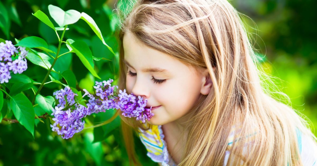 Embaumez votre jardin : 8 arbustes délicieusement parfumés à planter cet automne