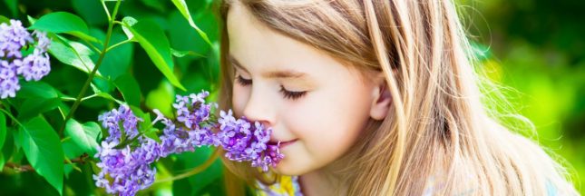 Embaumez votre jardin : 8 arbustes odorants à planter cet automne