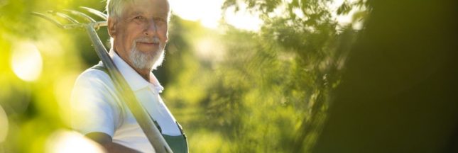 Secrets de jardiniers : découvrez l'astuce zéro déchet qui enrichit gratuitement tous les jardins