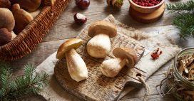 10 champignons comestibles en automne : savoir les reconnaître