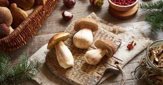 10 champignons comestibles en automne : savoir les reconnaître