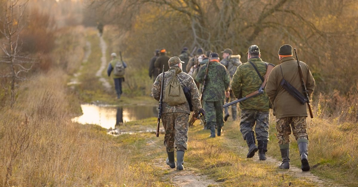 La chasse : une pratique de moins en moins tolérée par plus de la majorité des Français