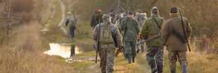 La chasse : une pratique de moins en moins tolérée par plus de la majorité des Français