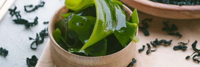 Et si cuisiner les algues était bien plus savoureux que vous ne le pensiez ?