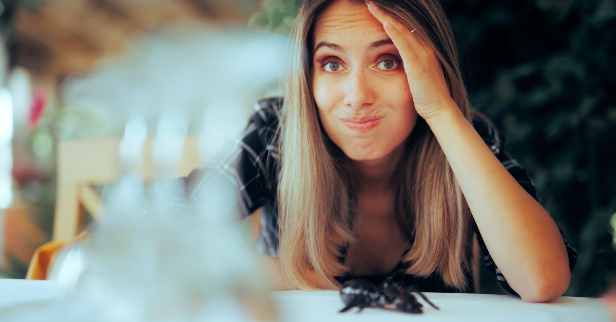 L'entomophobie : entre crainte et incompréhension des insectes L'entomophobie : entre crainte et incompréhension des insectes