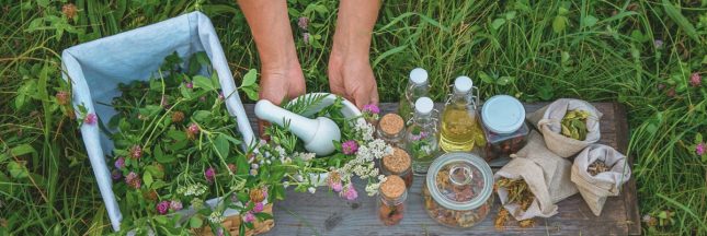 Les élixirs floraux : des bouquets pour l'âme !