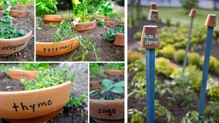 Des étiquettes pour plantes avec des pots en terre cuite