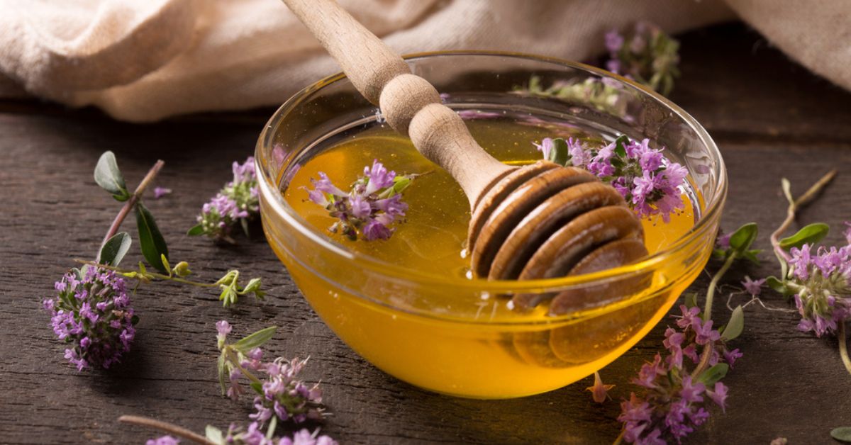 Réalisez un sirop de thym, allié naturel et efficace dès l'automne