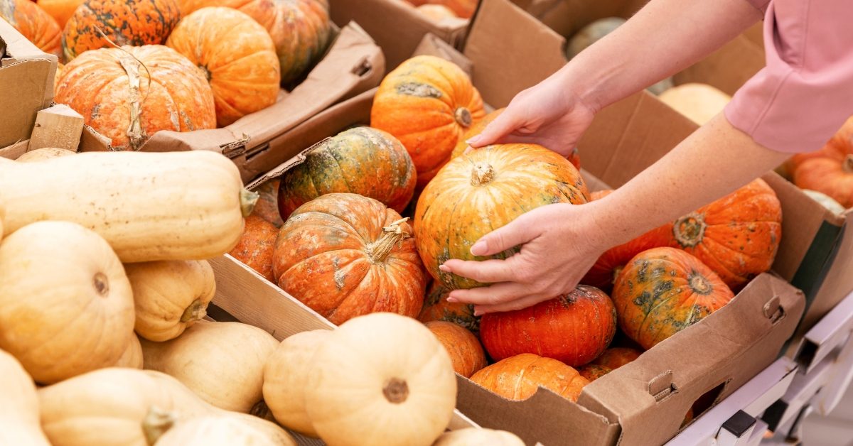 Alimentation : en automne, gare aux courges toxiques !