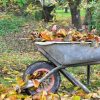 Compost : quelles feuilles faut-il éviter de mettre ? Compost : quelles feuilles faut-il éviter de mettre ?
