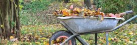 Compost : quelles feuilles faut-il éviter de mettre ? Compost : quelles feuilles faut-il éviter de mettre ?