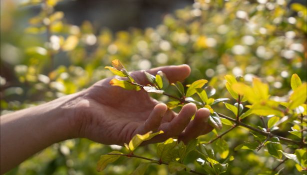 Ce que vos mains révèlent sur votre santé Doigts, ongles, paumes... Ils en disent long sur vous !