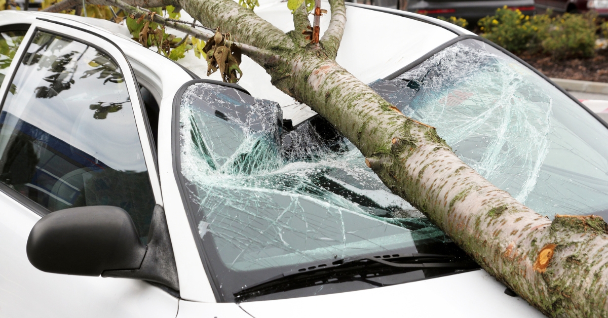 Tempête Ciaran : comment se faire rembourser par son assurance ?