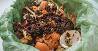 Nouvelles règles de tri des biodéchets en janvier 2024 : gare à l'amende ! Nouvelles règles de tri des biodéchets en janvier 2024 : gare à l'amende !