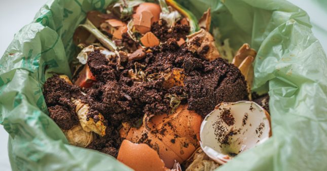 Nouvelles règles de tri des biodéchets en janvier 2024 : gare à l'amende ! Nouvelles règles de tri des biodéchets en janvier 2024 : gare à l'amende !