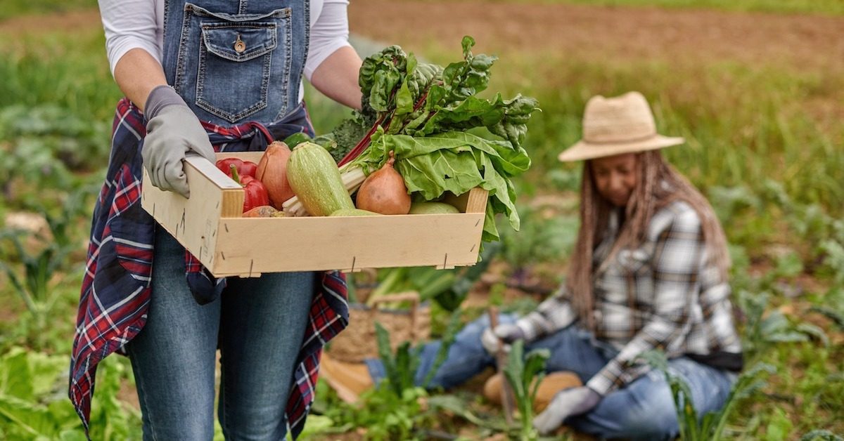 Peut-on vendre les récoltes de son potager ?