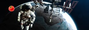 Comment une tomate s'est-elle perdue dans l'espace ? Comment une tomate s'est-elle perdue dans l'espace ?