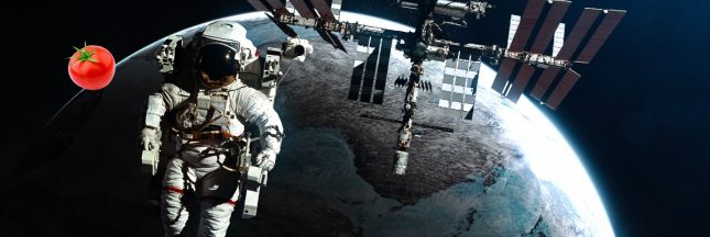 Comment une tomate s'est-elle perdue dans l'espace ?