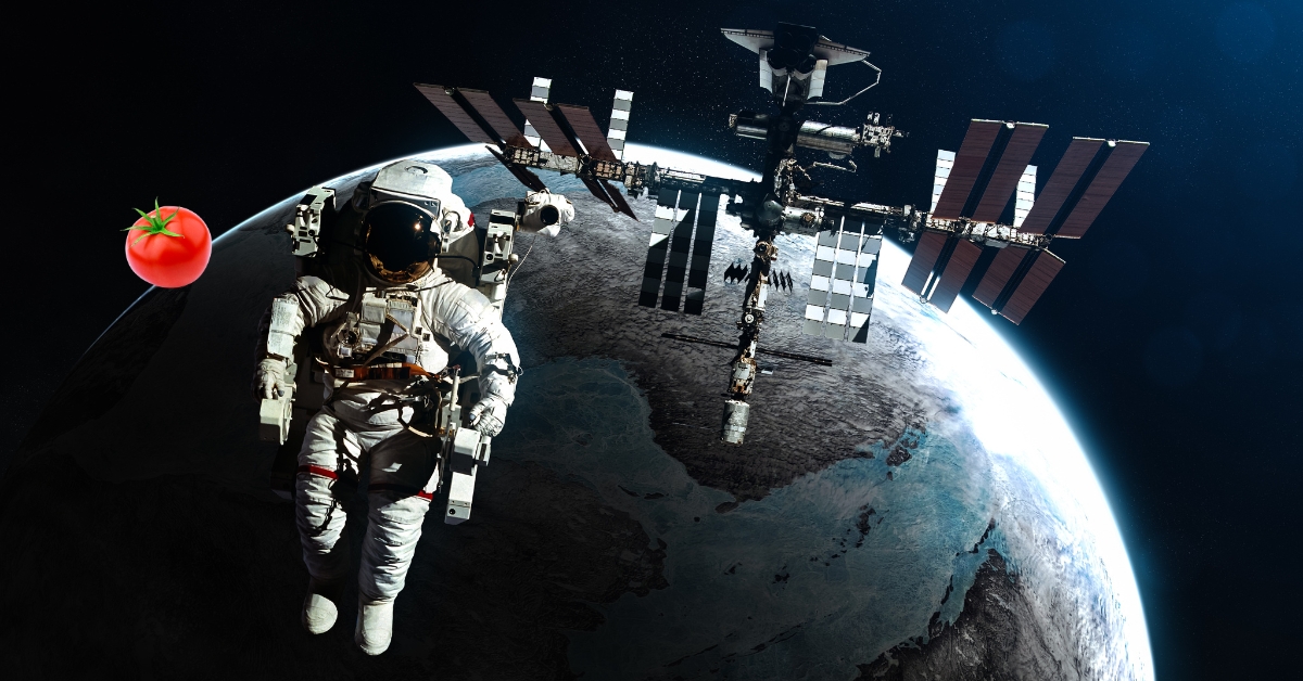 Comment une tomate s'est-elle perdue dans l'espace ? Comment une tomate s'est-elle perdue dans l'espace ?