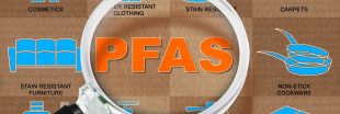 Peut-on se débarrasser des 'polluants éternels' (PFAS) ?